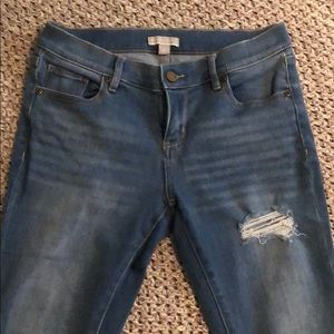 New York & Company distressed jeans.